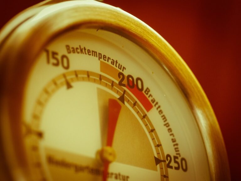 baking thermometer